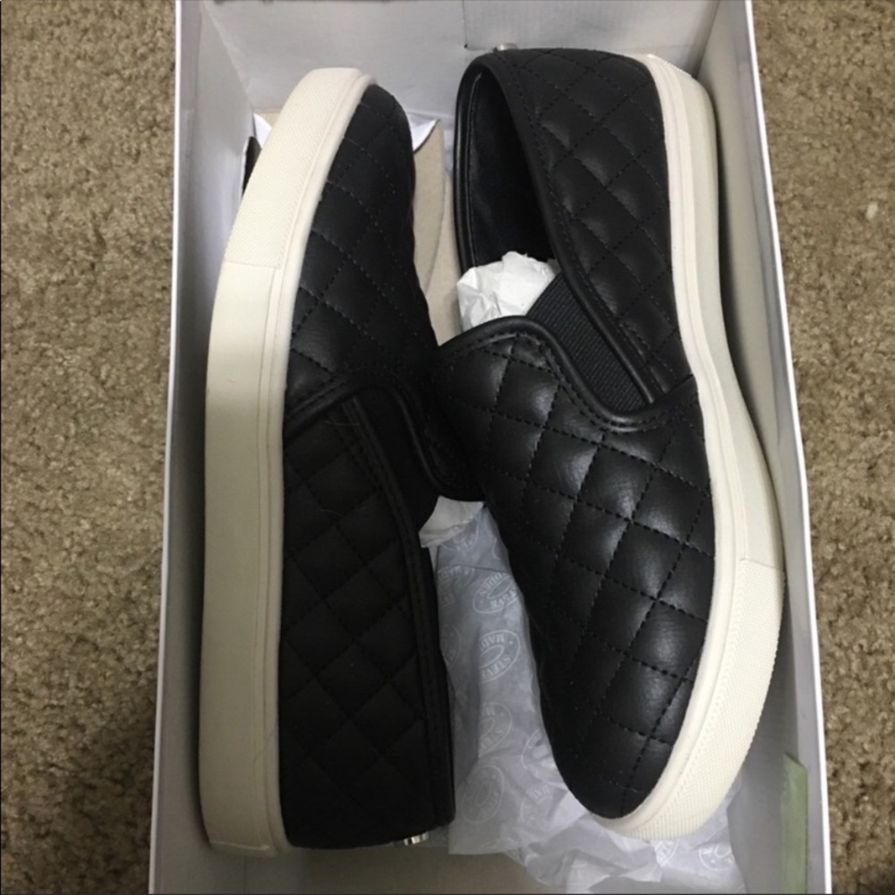 Steve Madden Ecentrcq